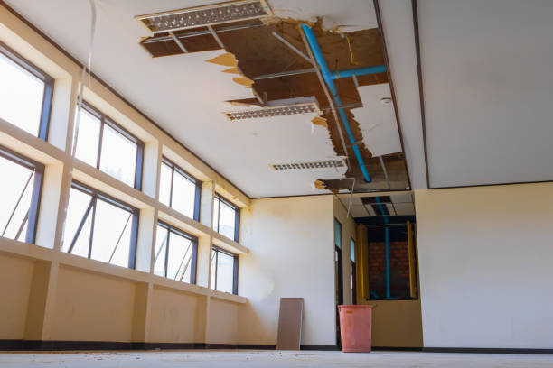 Best Water damage contractors near me  in Atascocita, TX