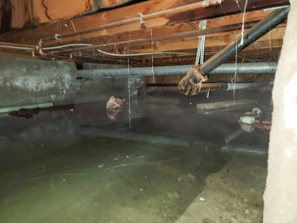 Best Flooded house restoration  in Atascocita, TX