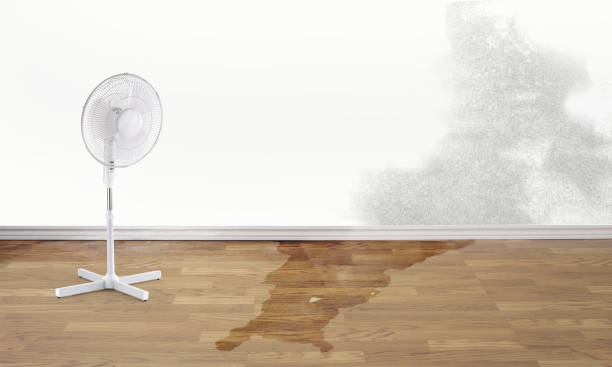 Best Water damage restoration near me  in Atascocita, TX