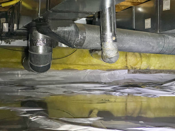  Atascocita, TX Water damage restoration Pros